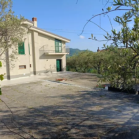 L'ulivo *