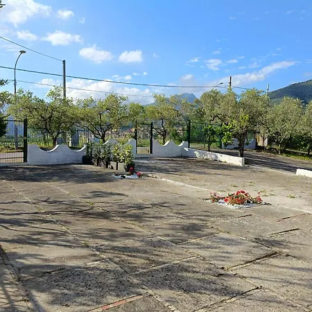 L'ulivo Giffoni Sei Casali