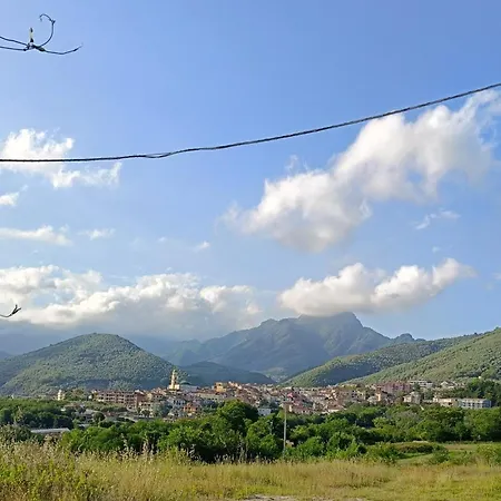 L'ulivo * Giffoni Sei Casali